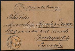 1906 Zernest (Erdély), mulatozó társaság, kartonra ragasztva, postán elküldve, 10,5×15,5 cm