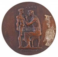 Madarassy Walter (1909-1994) 1963. "Dr. Korányi Frigyes 1828-1913 / 1963" kétoldalas, öntö...