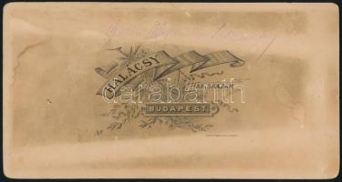 1888 Nagyszebeni báró Jeszenszky Sándor (1827-1889) országgyűlési képviselő díszmagyarban, keményhát...