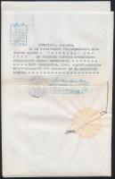 1944 Szabolcs vármegye közgyűlésének 1841. évi nemességmegerősítési okleveléről készült hiteles máso...