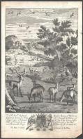 Richard Blome (1635-1705): 2 vadászat témájú metszet a The Gentlemans Recreation (1696) c. könyvből. / Hunting engravings. Pge size: 22,5x38 cm