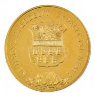 1989. "Temesvár 1514,1989 / Ne hagyd el Erdélyt, Erdélyt Istenem" aranyozott fém emlékérem...