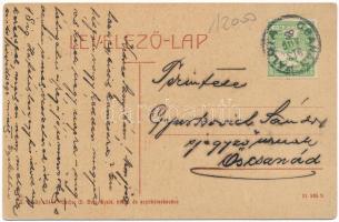 1913 Csanádpalota, Pályaudvar, Vasútállomás, vasutasok. W: L. Bp. 5444. Kiadja M. Buja Gyula (gyűrőd...