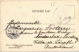 1906 Nagyláng (Soponya), Szent János szobor, Pálmaliget, Templom. Kiadja a Nagylángi Keresztény Fogy...