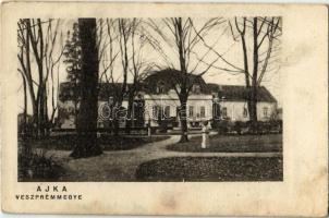 1926 Ajka (Veszprém megye), Niernsee kastély (fa)