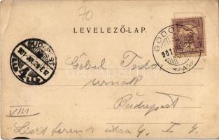 1901 Gödöllő, Az Erzsébet királyné (Sisi) szobor leleplezési ünnepe, a királyi család a sziklacsopor...