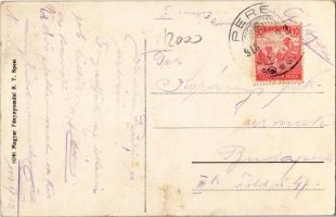 1918 Pered, Tesedíkovo; Községháza, Kolman Miksa üzlete, gémeskút / town hall, shop, well (EK)