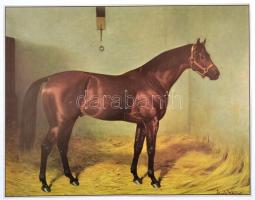 Fenék galoppló; A fenékpusztai ménes; 2 db festményről készült nyomat, 29×23 ill. 40×23 cm