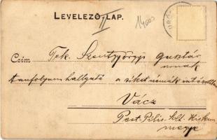 1905 Demény, Domanizs, Domaniza; Gróf Esterházy uradalmi major. Kiadja az Excelsior műintézet 515. /...