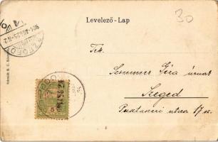 1904 Késmárk, Kezmarok; látkép, Thököly vár, kastély. Schmidt R. C. kiadása / castle (apró szakadás ...