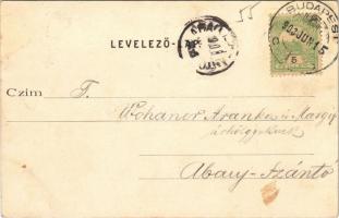 1903 Budapest XI. Kelenföld, Mattoni-féle Erzsébet királyné sósfürdő, kert