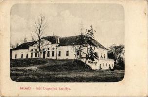 1913 Hadad, Hodod; Gróf Degenfeld kastély. Kiadja Röttig Gusztáv és Fia / castle (Rb)