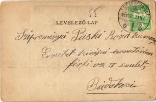 1913 Arad, az aradi 1848-49-es forradalom és szabadságharc ereklyemúzeum emléktárgyai közül: a szeké...