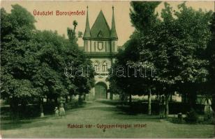 1909 Borosjenő, Ineu; Rákóczi vár, Gyógypedagógiai intézet. W. L. Bp. 5412. Kiadja Ungár J. / castle, special education institute (EB)