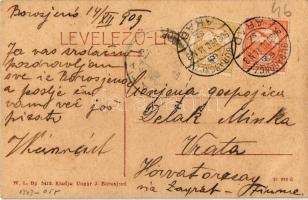 1909 Borosjenő, Ineu; Rákóczi vár, Gyógypedagógiai intézet. W. L. Bp. 5412. Kiadja Ungár J. / castle...