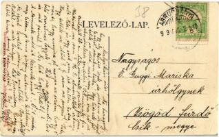 1909 Abrudbánya, Abrud; Erzsébet tér, Unitárius templom, Katolikus templom, üzletek. W. L. 3213. Tip...