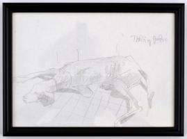 Thuróczy Zoltán jelzéssel 5 db kutyát ábrázoló ceruzarajz üvegezett keretben. 16x23 cm