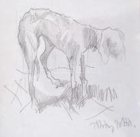 Thuróczy Zoltán jelzéssel 5 db kutyát ábrázoló ceruzarajz üvegezett keretben. 16x23 cm