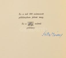 Szent István törvényeinek XII. századi kézirata. Admonti Kódex. Hasonmás kiadás. Bevezetéssel, magya...