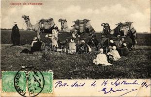1906 Groupe de chameaux / group of camels, Egyptian folklore. TCV card, 1906 Egyiptomi folklór TCV card