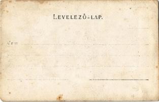 Temesvajkóc, Vlajkovac; Bissingen-Nippenburg kastély / castle. photo (EK)