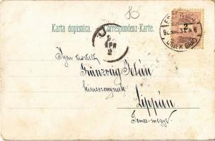 1898 Eszék, Esseg, Osijek; Kapucinska ulica, Gradska kuca, Zupanijska ulica, Glavni trg, Gornjograds...