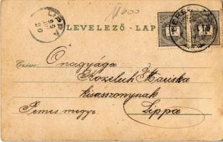 1899 Beregszász, Berehove; Pénzügyi Igazgatóság, Vármegyeháza, Termény csarnok, Állami polgári leány...