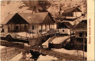 1911 Radnaborberek, Borberek-fürdő, Valea Vinului; tél / winter (EK)