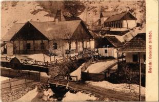 1911 Radnaborberek, Borberek-fürdő, Valea Vinului; tél / winter  (EK)