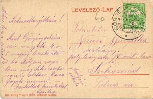 Szászrégen, Reghin; Park. W. L. (?) 265. Kiadja Traugott Blasi / park (EK)