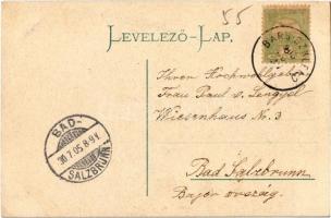 1905 Szklenófürdő, Sklené Teplice; Úri fürdő, Gyógyszertár / spa, bathing house, pharmacy (EK)