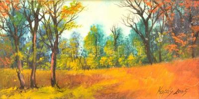 Kapás Tamás (1969-): Őszi színek. Olaj, farost, jelzett, keretben, 10×19,5 cm