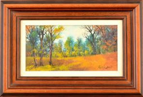 Kapás Tamás (1969-): Őszi színek. Olaj, farost, jelzett, keretben, 10×19,5 cm