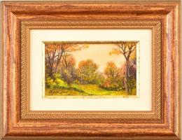 Kapás Tamás (1969-): Táj. Olaj, farost, jelzett, keretben, 8,5×14,5 cm