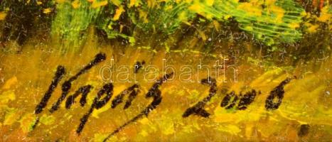 Kapás Tamás (1969-): Táj. Olaj, farost, jelzett, keretben, 8,5×14,5 cm