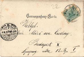 1902 Wiesenbach,  general view. Fotogr. Menschick (szakadás / tear)