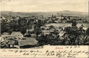 1913 Blovice, general view. Fr. Brandl (EK)