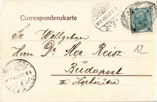 1902 Schärding, Schärding-Neuhaus am Inn; general view, bridge. Verlag J. Pustet