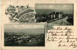 1900 Wartmannstetten, general view, villa. Julius Seiser. Art Nouveau, floral (EK)
