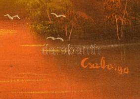 Csaba István (?-): Folyópart. Olaj, vászon, jelzett, keretben, 34×49 cm