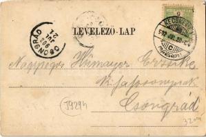 1902 Kecskemét, Városháza, piaci árusok, Gyógyszertár. Kiadja Gallia-féle Könyvkereskedés. Art Nouve...