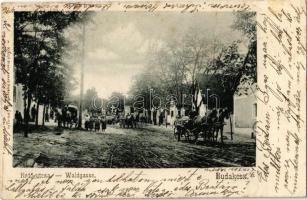 1903 Budakeszi, Erdő utca, lovaskocsik (EK)