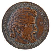 Szántó Gergely (1886-1962) 1960. "Székely Bertalan 1835-1910 - Pedagógusok Szakszervezete" Br plakett (80mm) piros dísztokban T:2-