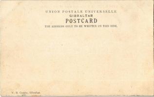 Gibraltar, A Bird's eye view of the Harbour, warships