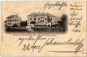 1901 Medgyes, Mediasch, Medias; Landwirtschaftliche Lehr-Anstalt (Internat) / Gazdászati iskola / agricultural school