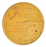 Fritz Mihály (1947-) DN Aranykatedra emlékplakett aranyozott fém emlékplakett piros dísztokban (60mm) T:1- (PP) ujjlenyomat