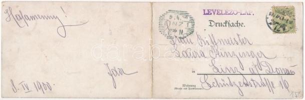 1900 Budapest, Környékkép. Kinyitható panorámalap