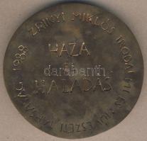 1988. "Zrínyi Miklós-Haza és Haladás" nagyalakú, dekoratív Br emlékplakett T:2 Erdeti dísz...