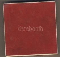 1988. "Zrínyi Miklós-Haza és Haladás" nagyalakú, dekoratív Br emlékplakett T:2 Erdeti dísz...