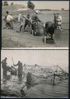 cca 1910-1940 7 db halászattal kapcsolatos fotó kb 16x12 cm